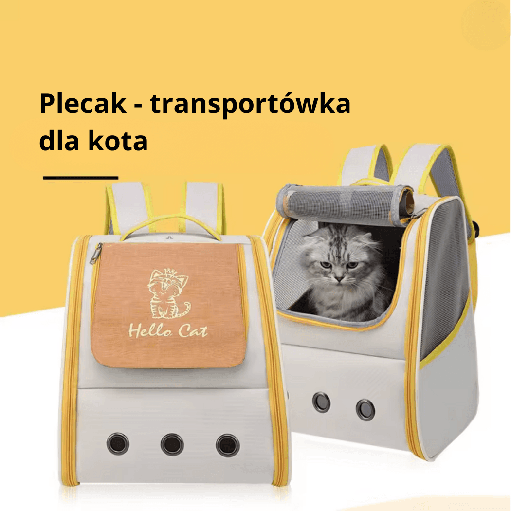 Stylowy i wygodny plecak - transportówka dla kota